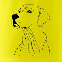 Labrador čierna kresba