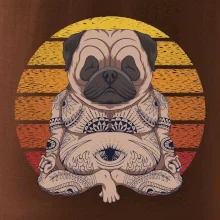 Yoga meditace - pug