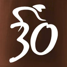 Cyklista oslavuje tridsiatku (30)