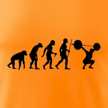 Evolution fitness