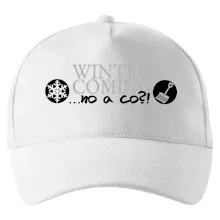 Winter Is Coming parodie