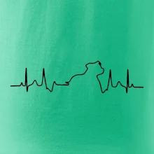 Stafordšírsky bulteriér ‎ EKG