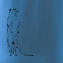 Surikata čierna kresba