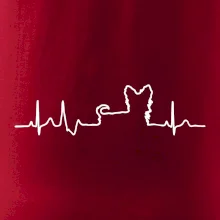 Yorkshirský teriér EKG Yorkshirský teriér EKG