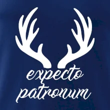 Harry - Expecto patronum