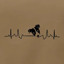 Jack Russell Terriér Ekg Jack Russell Terriér Ekg