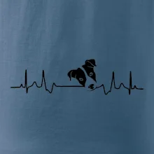 Jack Russell Terriér Ekg Jack Russell Terriér Ekg