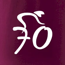 Cyklista oslavuje sedemdesiatku (70)