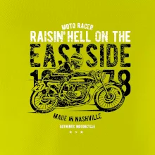 Raisin Hell Moto Racer