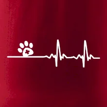 Veterinár EKG