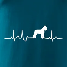 Ekg bradáč telo Ekg bradáč telo