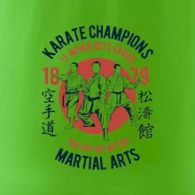 Karate Champions