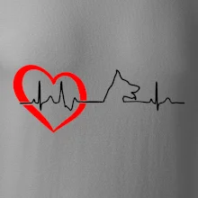 Nemecký ovčiak ekg