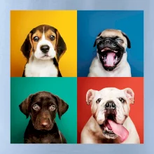 Psi šteňatá koláž