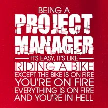 Being A Project Manager - bike