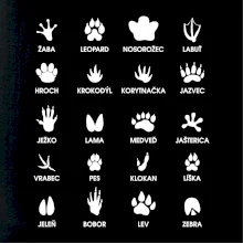Zvieracie stopy - názvy