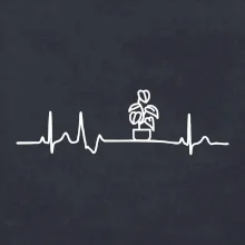 EKG Filodendron EKG Filodendron