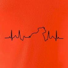 Stafordšírsky bulteriér ‎ EKG