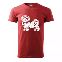Havanese nápis v tele