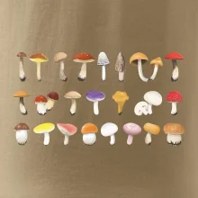 Huby farebné Huby farebné