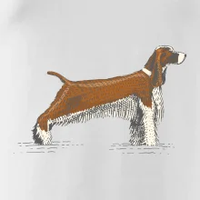 Vintage Springer spaniel