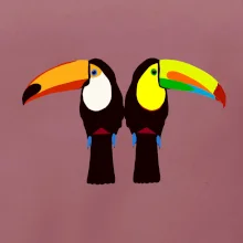 Dva barevní tukani (Moňas)