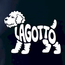 Lagotto nápis v tele