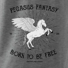 Pegasus fantasy
