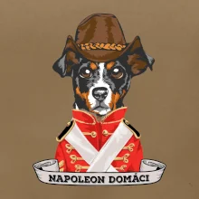 Napoleon domáci kríženec