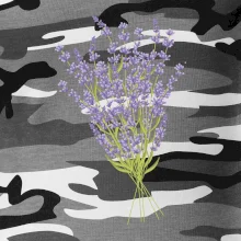 Levanduľa kreslená Levanduľa kreslená