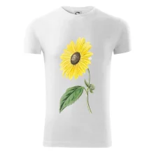 Slnečnica otočená