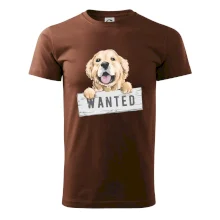 Zlatý retriever - šteniatko wanted