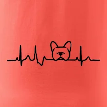 EKG Francúzsky buldoček hlava