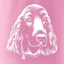 Kokeršpaniel - hlava kreslená