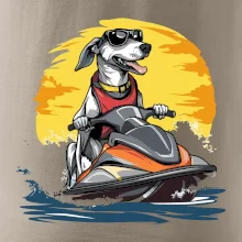 Chrt na vodnom skútri