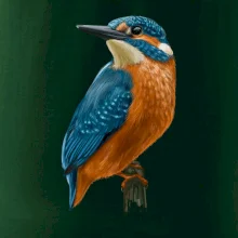 Ľadnáčik kreslený Ľadnáčik kreslený