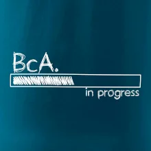 In progress titul BcA. bakalár / bakalárka umenia