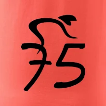 Cyklista oslavuje sedemdesiatpäťpäťky (75)