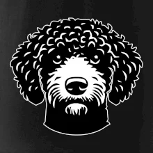 Lagotto romagnolo hlava na prsníku