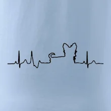 Yorkshirský teriér EKG