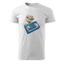 Pštrosi vídea Pštrosi vídea