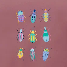 Farebné chrobáky (studio-arte.cz)