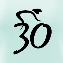 Cyklista oslavuje tridsiatku (30)