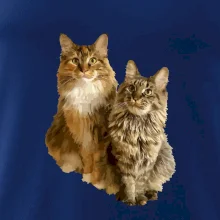 Mačky vectorizované (Moňas)