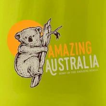 Amazing Australia koala Amazing Australia koala