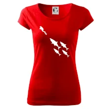 Potápač žraloky Potápač žraloky