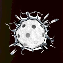 Florbal lopta v triku