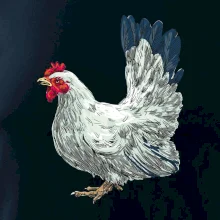 Sliepka kreslená biela Sliepka kreslená biela