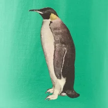 Tučniak kreslený vodovými farbami