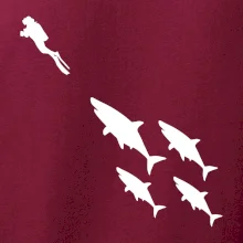 Potápač žraloky Potápač žraloky